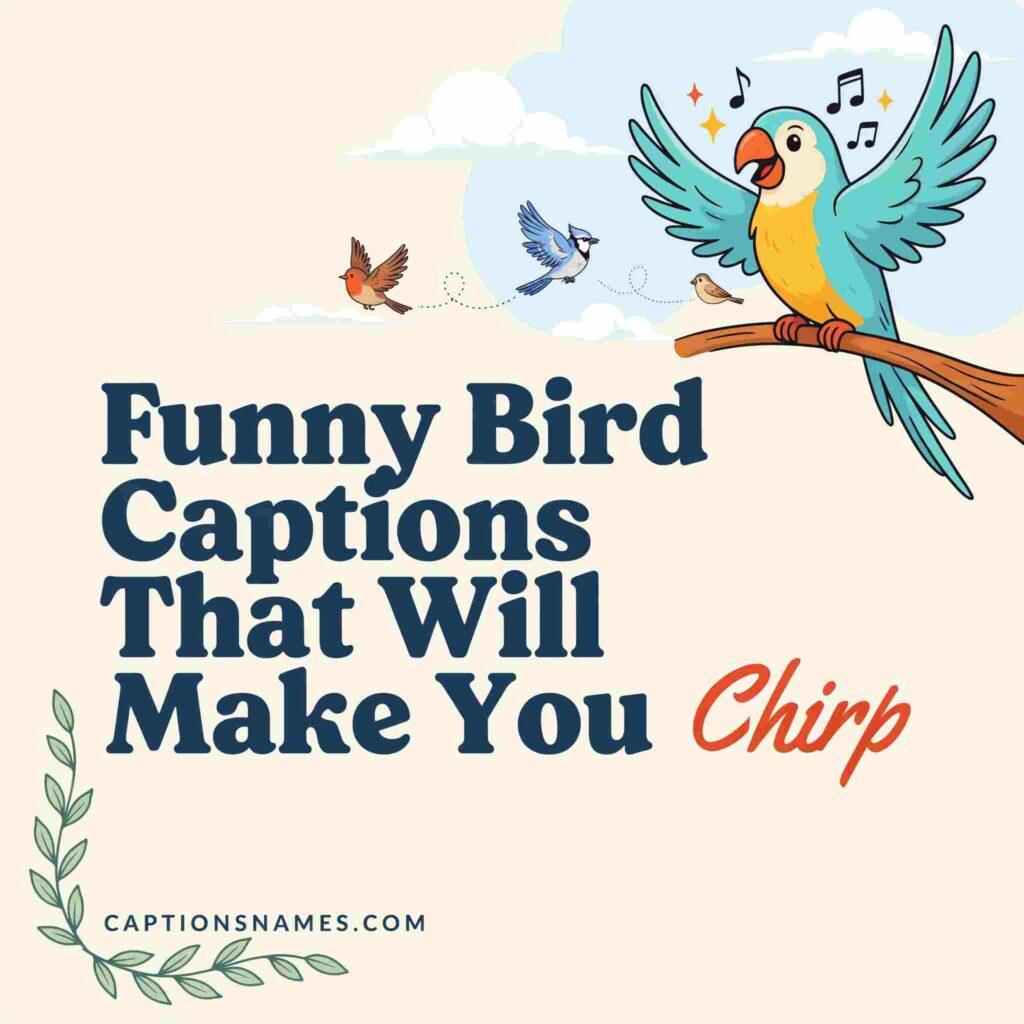 Funny Bird Captions That Will Make You Chirp
