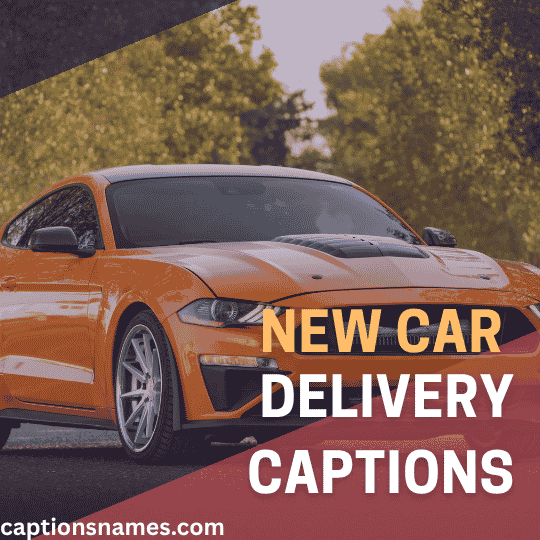 New Car Delivery Captions