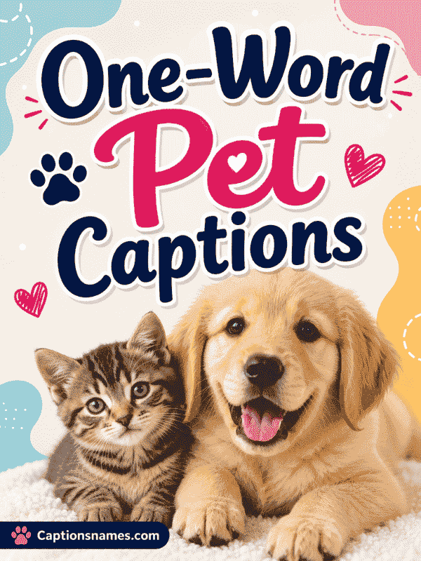 One-Word Pet Captions