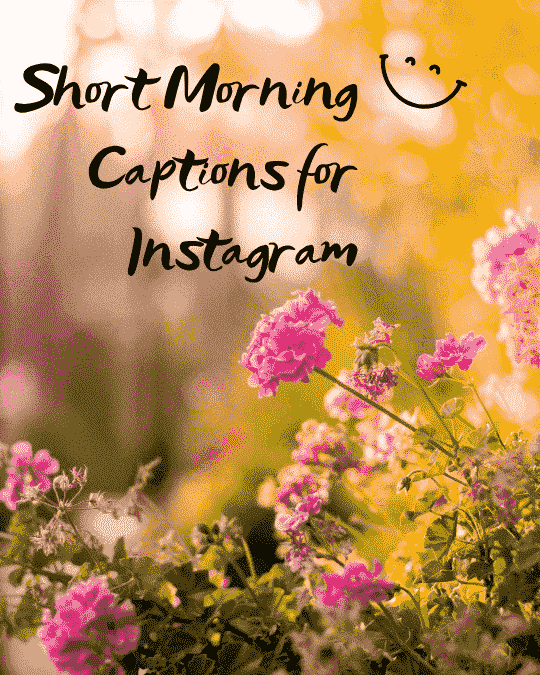 Short Morning Captions for Instagram