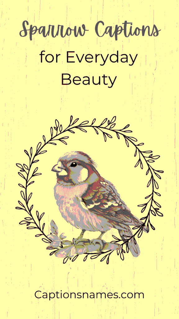 Sparrow Captions for Everyday Beauty