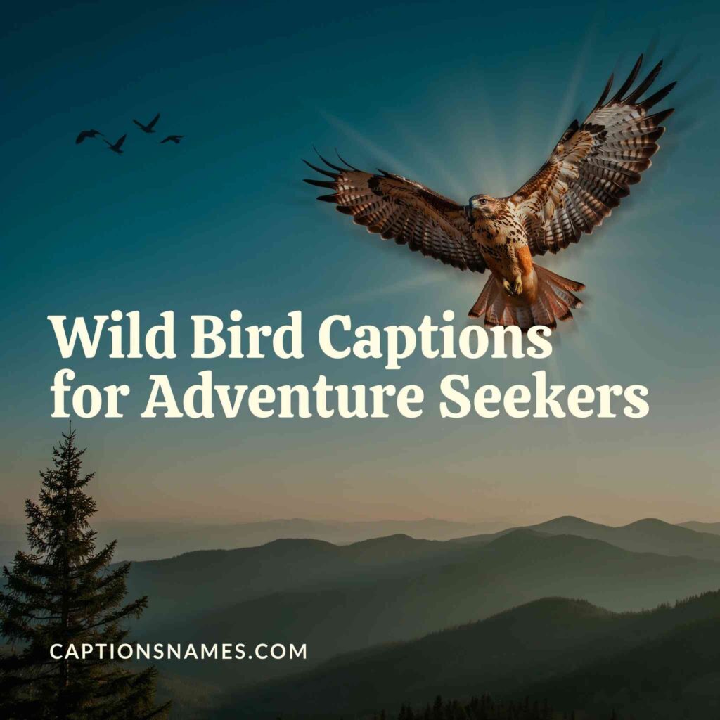 Wild Bird Captions for Adventure Seekers