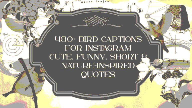 Bird Captions for Instagram