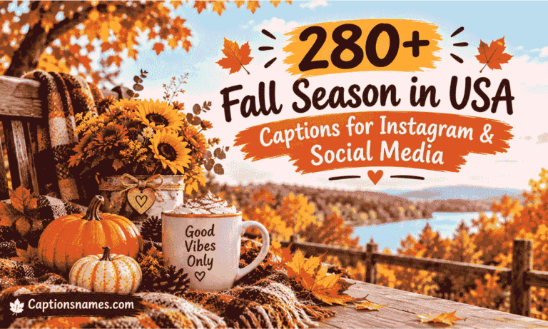 Fall Season in USA Captions for Instagram Social Media